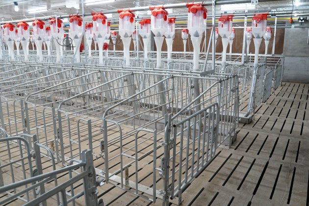 經(jīng)產(chǎn)母豬限位欄